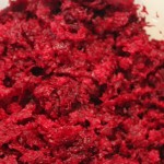 Fibres de betterave après extraction